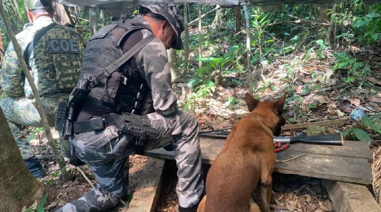 Polícia apreende espingarda calibre 12 em operação na zona rural de Mâncio Lima