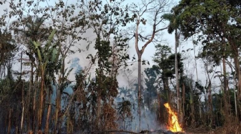Acre registra redução de 60% nas queimadas até julho, mas especialistas alertam para período crítico em setembro e outubro