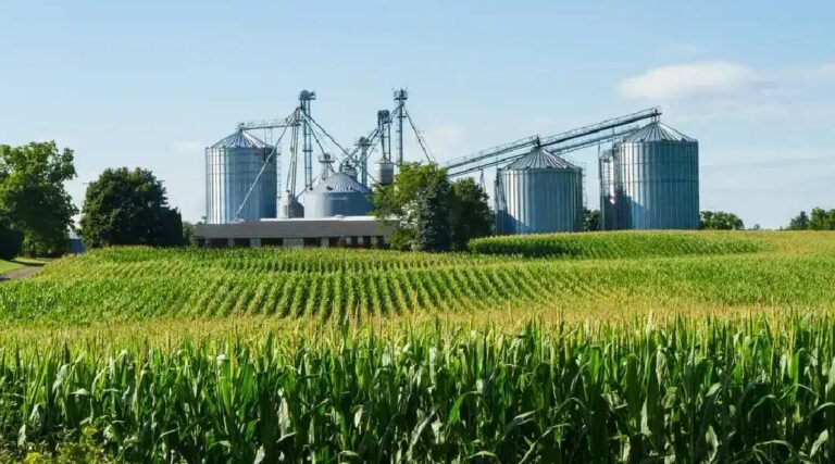 Acre destina 8% das suas exportações para a China, bem abaixo da média nacional