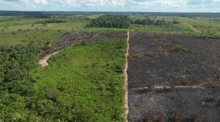 Queimadas no Juruá reduzem significativamente em relação ao ano de 2024