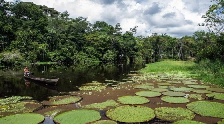 Primeira edição do ‘Juntos pela Natureza’ une apresentações artisticas e promoçaõ da cultura no Rio Croa, em Cruzeiro do Sul