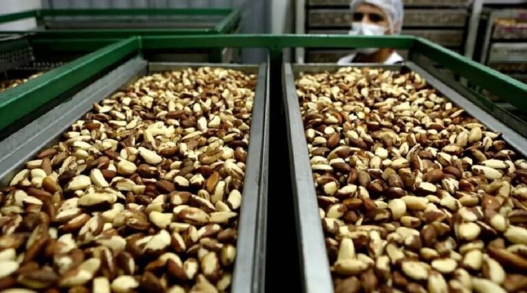 Tarifaço de Donald Trump atinge 99% das exportações do Acre para os Estados Unidos