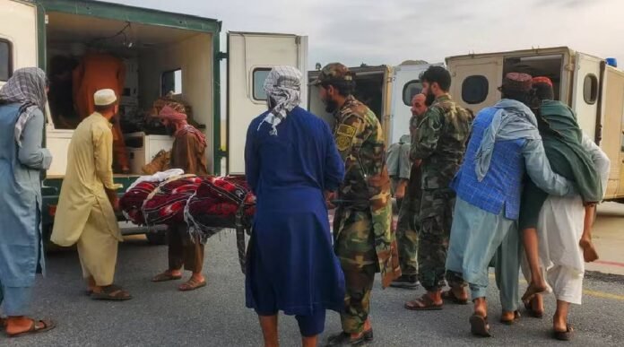 Novo Projeto - 2025-09-01T095409.827