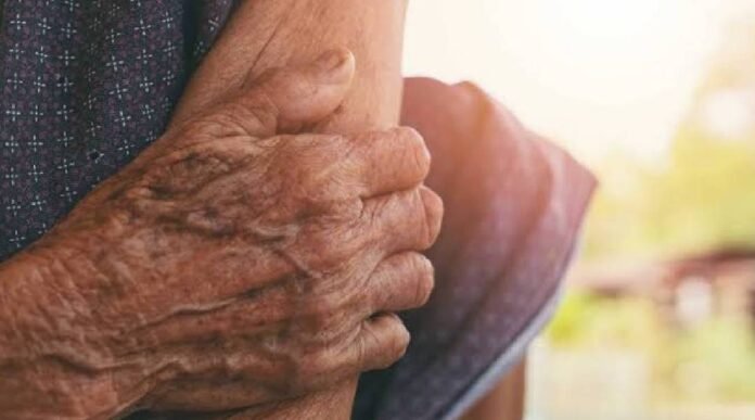 Novo Projeto - 2025-09-01T105225.672