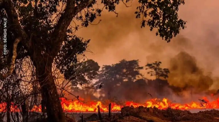 Acre registra queda nos incêndios, mas mantém alerta durante seca severa