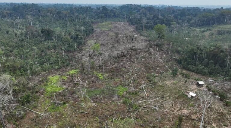 Acre cria norma para compensação de Reserva Legal e regularização de passivos ambientais