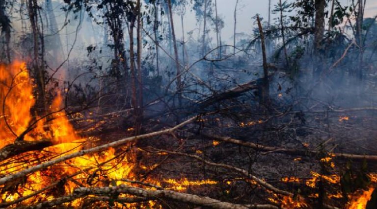 Cruzeiro do Sul registra quase 80% de redução nos focos de queimadas, aponta Corpo de Bombeiros