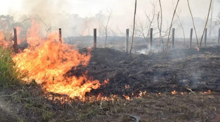 Acre registra 56 focos de incêndio em 48 horas, mas mantém tendência de queda