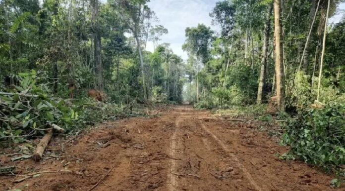 Novo Projeto - 2025-09-07T185559.162