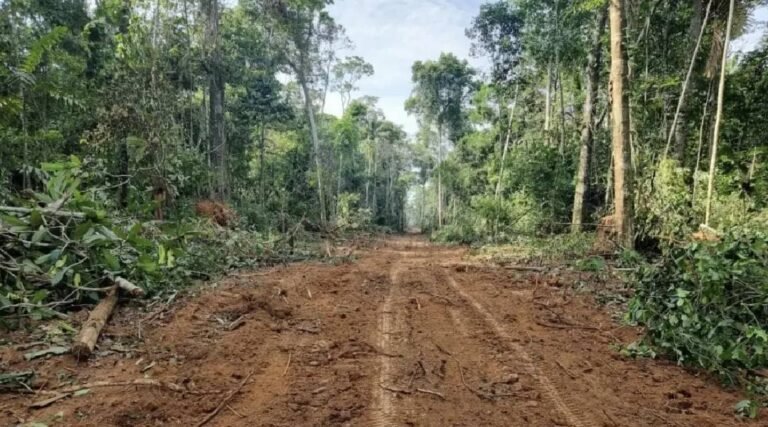 Moradores reabrem estrada interditada pela Justiça em Porto Walter