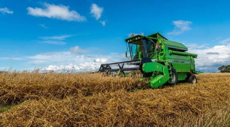 Consórcios seguem em alta e ajudam associados do Sicredi a realizarem sonhos e ampliarem patrimônio