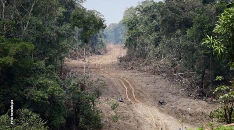 Estado do Acre e MPF firmam acordo para regularizar Ramal Barbary