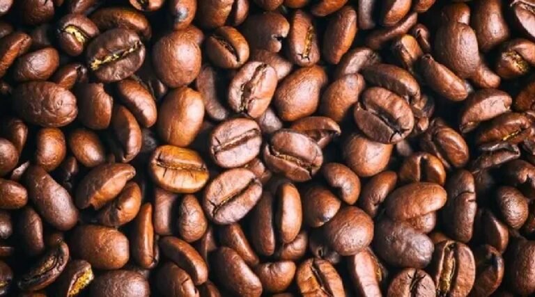 Café impulsiona produção agrícola do Acre e valor da produção cresce 13,5% em 2024