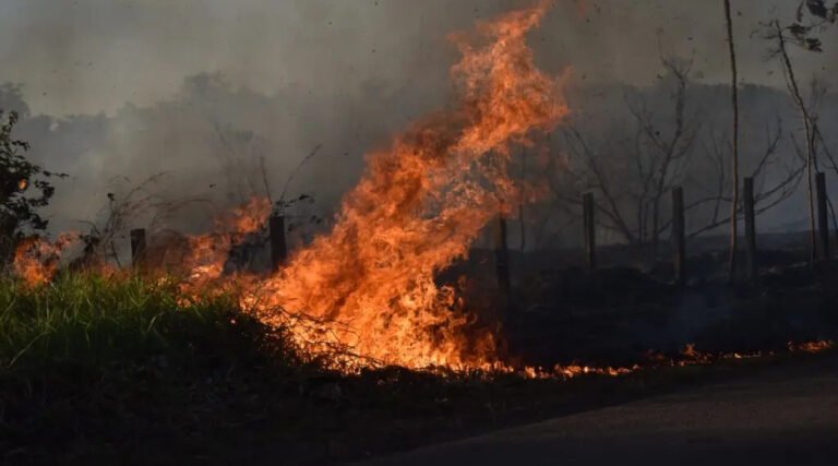 Acre registra 70 focos de queimadas em 24 horas e qualidade do ar é considerada ‘moderada’