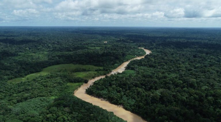 Acre registra queda de mais de 70% nos focos de queimadas em agosto