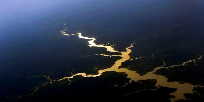 captura-de-carbono-na-amazonia-esta-em-risco,-diz-estudo