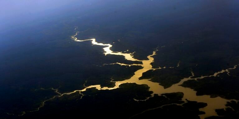 captura-de-carbono-na-amazonia-esta-em-risco,-diz-estudo