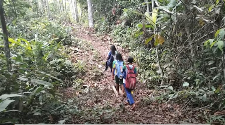 Medo de onça faz estudantes da zona rural abandonarem aulas em Cruzeiro do Sul