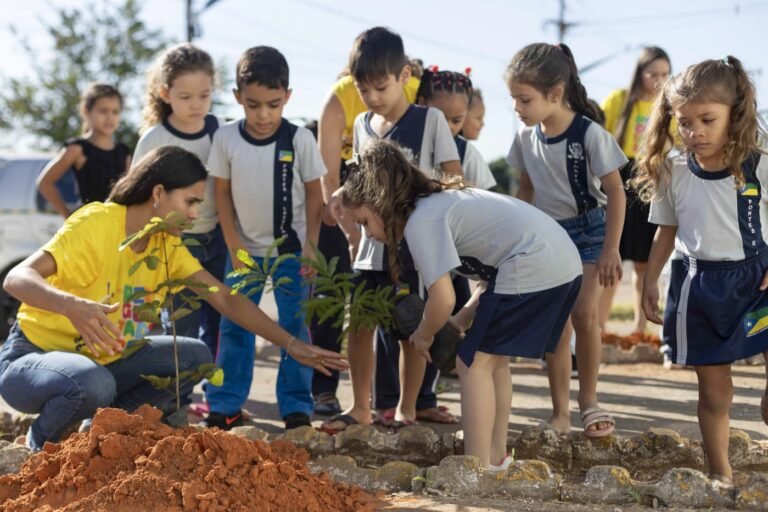 Sicredi Biomas destaca dedicação dos professores parceiros por meio de iniciativas do Programa A União Faz a Vida