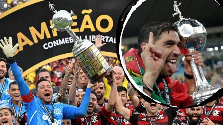 como-flamengo-e-palmeiras