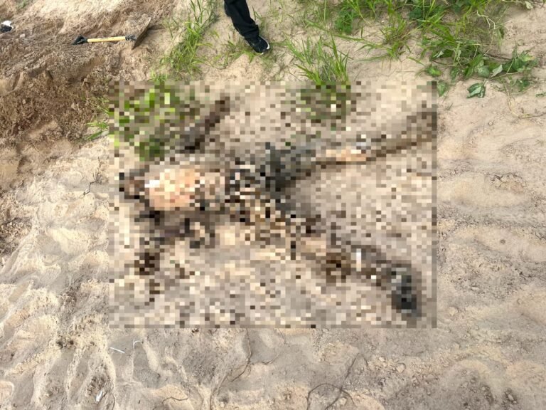 Polícia Civil apreende menor envolvido em homicídio com ocultação de cadáver em Cruzeiro do Sul