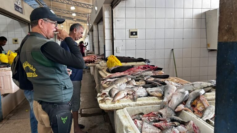 Com início do defeso, peixe de açude ganha espaço e abastece consumidores no Juruá