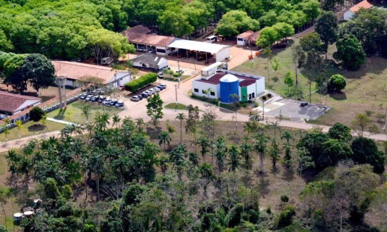 Projeto do Vale do Juruá será destaque da Embrapa na COP30 em Belém