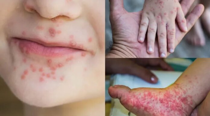 Novo Projeto - 2025-11-10T072530.240