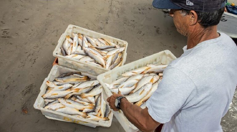 Cruzeiro do Sul sedia 2º Seminário da Atividade Pesqueira com foco em orientação e fiscalização ambiental