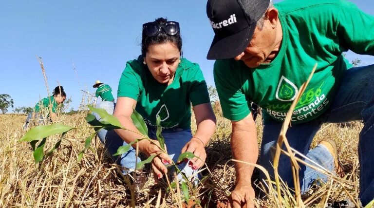 Sicredi apresenta ações para mulheres empreendedoras, transição energética no campo e outras iniciativas ligadas à sustentabilidade