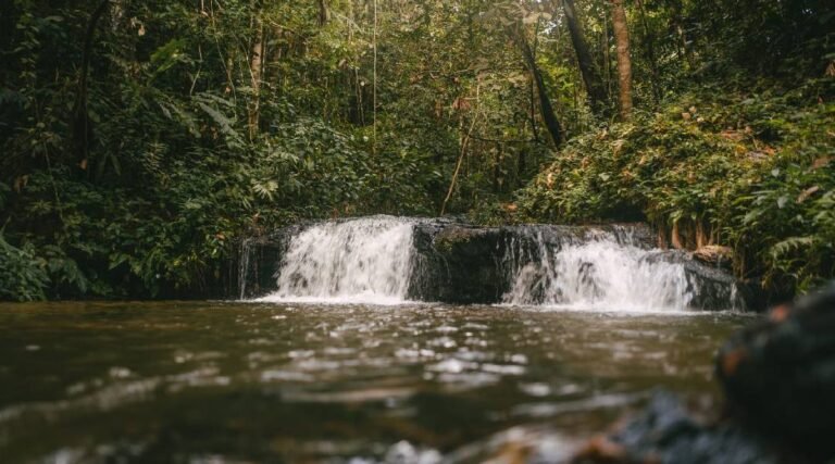 Seis experiências turísticas do Acre são apresentadas no Catálogo Conheça o Brasil na COP30