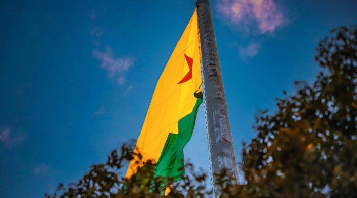 Novo Projeto - 2025-11-17T085351.000