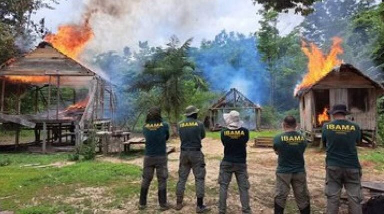 Ibama retira invasores e destrói acampamentos ilegais em Terra Indígena no Acre