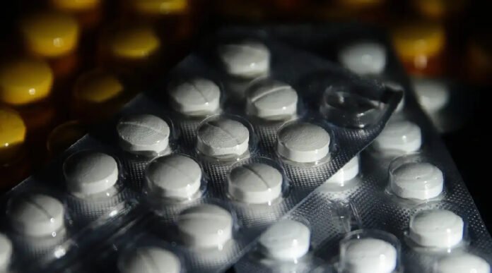 Novo Projeto - 2025-11-24T080247.926