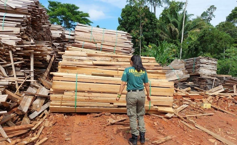 Ibama aplica mais de R$ 13 milhões em multas no Acre em operação contra fraudes no setor madeireiro