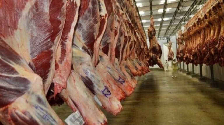 Acre bate recorde histórico e PIB cresce 14,7% em 2023, liderando o avanço nacional