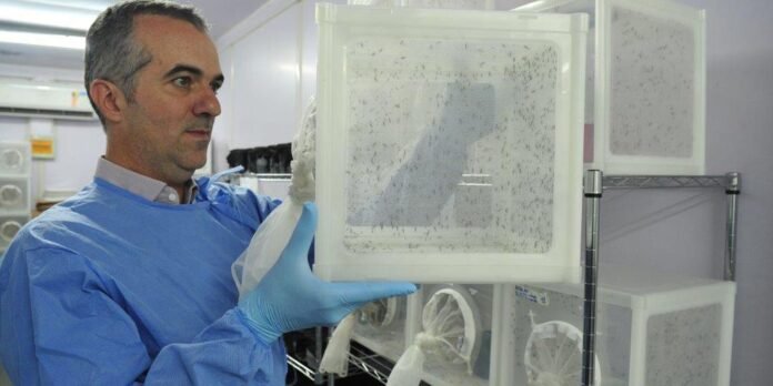brasileiro-criador-do-“aedes”-que-bloqueia-dengue-e-eleito-pela-nature