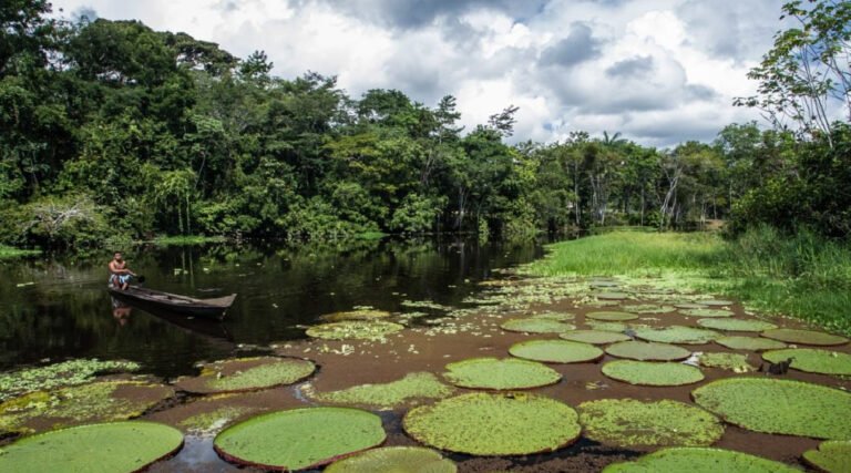 Acre amplia adesão ao Cadastur e fortalece segurança e visibilidade do turismo no estado