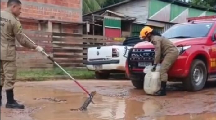 Novo Projeto - 2025-12-24T104437.769