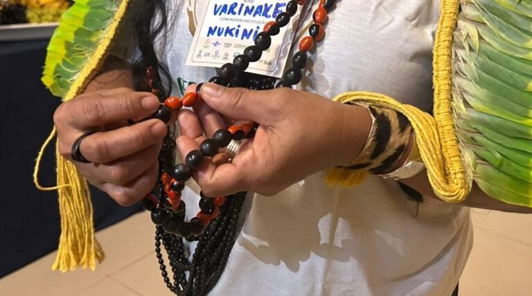 Terceiro Encontro da Rede de Sementes Florestais reúne comunidades e especialistas em Cruzeiro do Sul