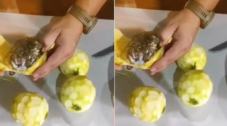 Cinco mulheres são presas ao entrar com drogas dentro de laranjas no presídio