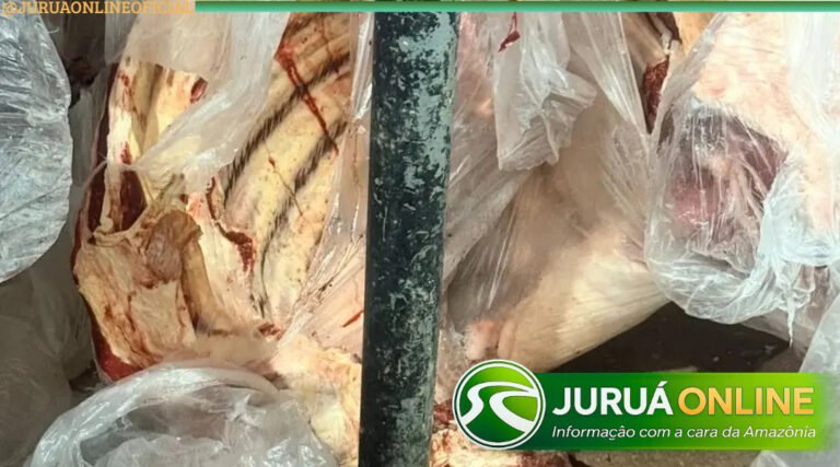 Quase duas toneladas de carnes impróprias para consumo são apreendidas em Sena