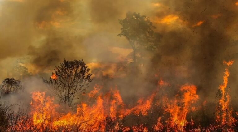 Acre reduz em quase 75% os focos de incêndio em 2025, aponta Inpe