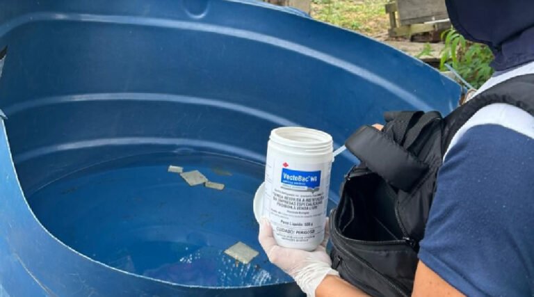 Cruzeiro do Sul registra quase 10 mil notificações de dengue em 2025 e mantém alerta para alto índice do mosquito