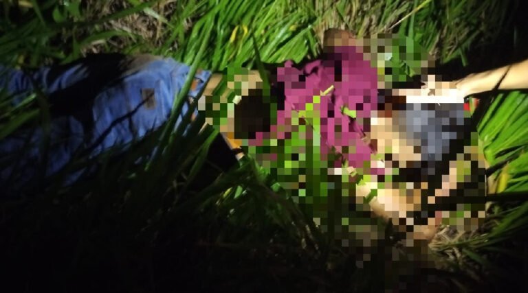 Jovem perde a vida após atingir animal na BR-364, no Croa