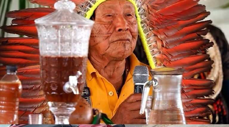 Ayahuasca entre o sagrado e o mercado: Acre acende alerta para distorções no uso da bebida