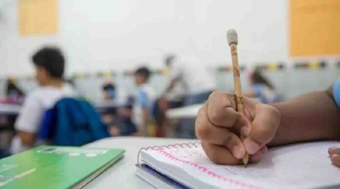 educação