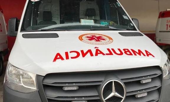 Ataque de pitbull deixa criança indígena gravemente ferida em Sena Madureira