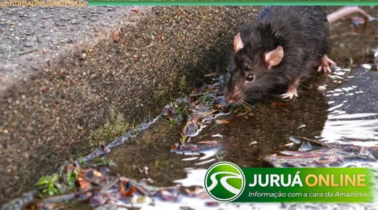 Morte de jovem por leptospirose acende alerta em cidade do interior do Acre