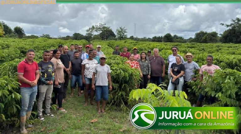 Cadeia produtiva do café avança em Cruzeiro do Sul com apoio técnico aos produtores rurais
